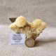 Calcite Chanxhe- Sprimont - Belgique