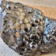 Hématite mamelonnée, botryoide, Taouz , Province Errachidia, Maroc