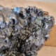 Hématite mamelonnée, botryoide, Taouz , Province Errachidia, Maroc