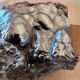 Hématite mamelonnée, botryoide, Taouz , Province Errachidia, Maroc