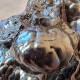 Hématite mamelonnée, botryoide, Taouz , Province Errachidia, Maroc