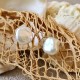 Perle de culture - boucles d'oreilles