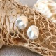 Perle de culture - boucles d'oreilles