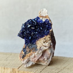 Azurite - Cristaux sur gangue - Maroc