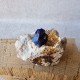 Azurite - Cristal sur gangue - Maroc