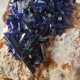 Azurite - Cristal sur gangue - Maroc