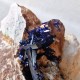Azurite - Cristal sur gangue - Maroc