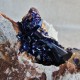 Azurite - Cristal sur gangue - Maroc