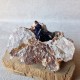 Azurite - Cristal sur gangue - Maroc