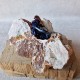 Azurite - Cristal sur gangue - Maroc