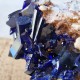 Azurite - Cristaux sur gangue - Maroc