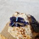 Azurite - Cristaux sur gangue - Maroc