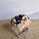 Azurite - Cristaux sur gangue - Maroc