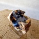 Azurite - Cristaux sur gangue - Maroc