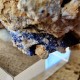 Azurite - Cristaux sur gangue - Maroc