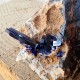 Azurite - Cristaux sur gangue - Maroc