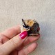 Azurite - Cristaux sur gangue - Maroc