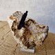 Azurite - Cristaux sur gangue - Maroc