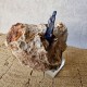 Azurite - Cristaux sur gangue - Maroc