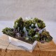 Épidote, Quartz et Axinite - Lima, Pérou