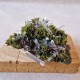 Épidote, Quartz et Axinite - Lima, Pérou
