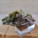 Épidote, Quartz et Axinite - Lima, Pérou