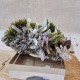 Épidote, Quartz et Axinite - Lima, Pérou