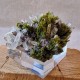 Épidote, Quartz et Axinite - Lima, Pérou