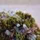 Épidote, Quartz et Axinite - Lima, Pérou