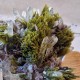 Épidote, Quartz et Axinite - Lima, Pérou