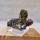 Épidote, Axinite et Quartz - Lima, Pérou