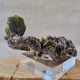 Épidote, Axinite et Quartz - Lima, Pérou