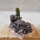 Épidote, Axinite et Quartz - Lima, Pérou