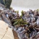 Épidote, Axinite et Quartz - Lima, Pérou