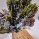 Épidote, Axinite et Quartz - Lima, Pérou