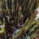 Épidote, Axinite et Quartz - Lima, Pérou