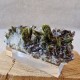 Épidote, Quartz et Axinite - Lima, Pérou