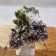Épidote, Quartz et Axinite - Lima, Pérou