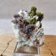 Épidote, Quartz et Axinite - Lima, Pérou