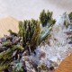 Épidote, Quartz et Axinite - Lima, Pérou