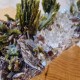 Épidote, Quartz et Axinite - Lima, Pérou