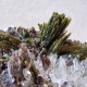 Épidote, Quartz et Axinite - Lima, Pérou