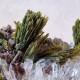 Épidote, Quartz et Axinite - Lima, Pérou