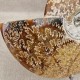 Ammonite Cleoniceras polie