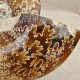 Ammonite Cleoniceras polie
