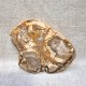 Bois Fossile - Tranche