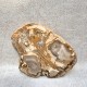 Bois Fossile - Tranche