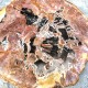 Bois Fossile - Tranche