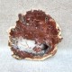 Bois Fossile - Tranche