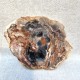 Bois Fossile - Tranche